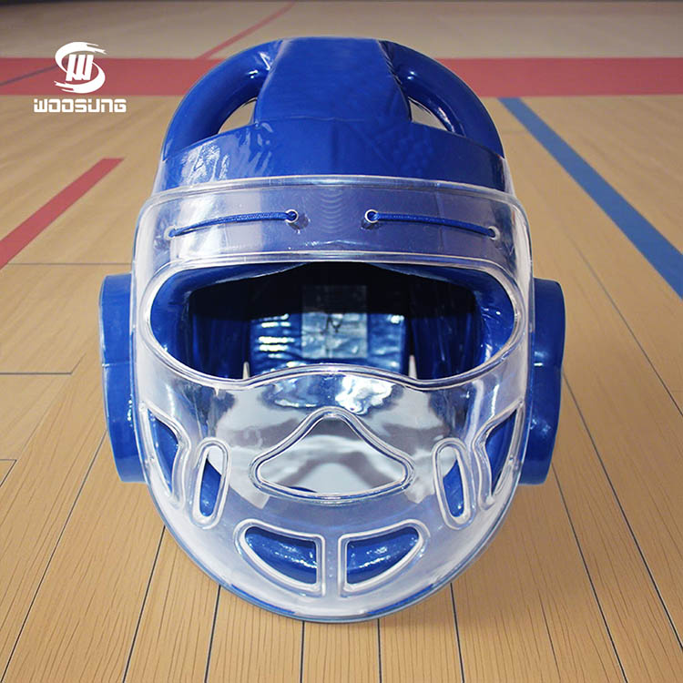 Taekwondo Head Guard s maskou
